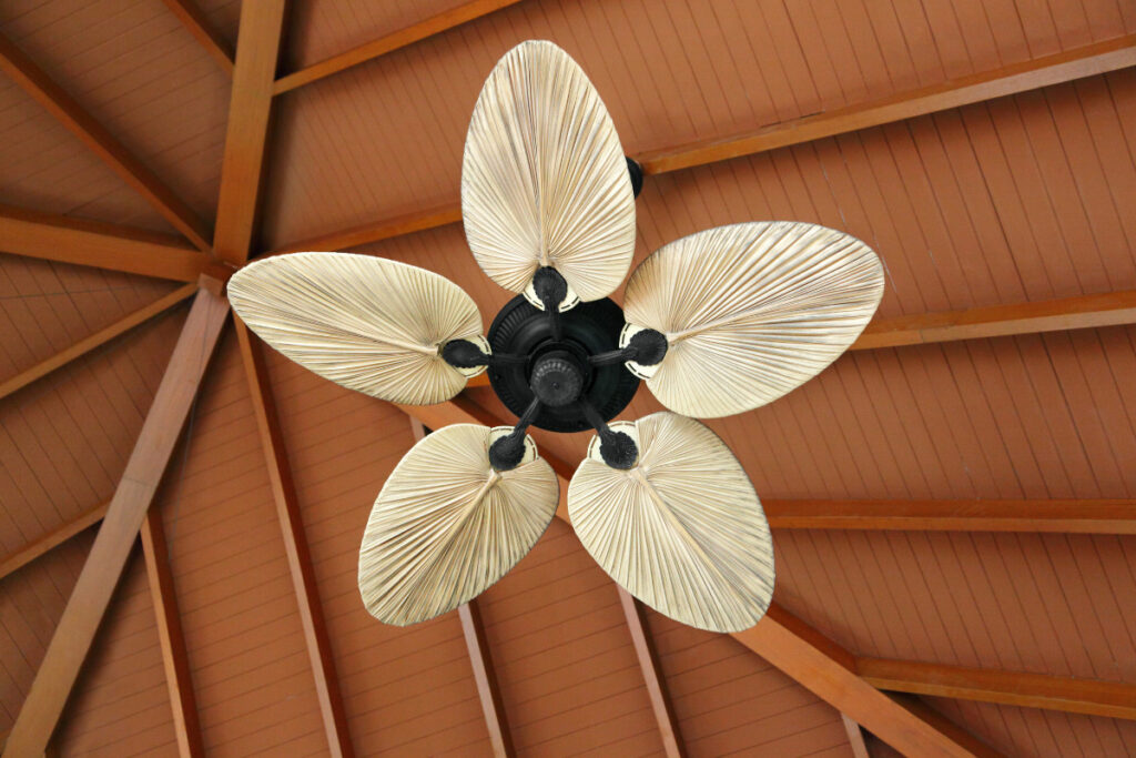 ceiling fans