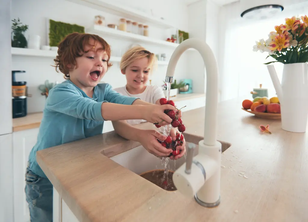 San Bernardino home efficiency